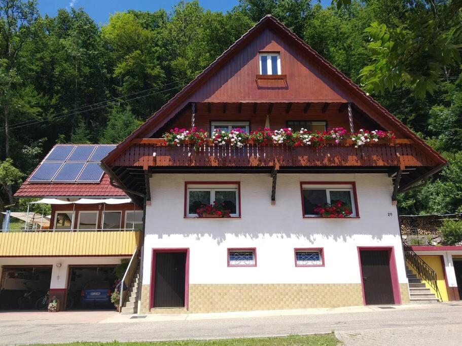Panoramablick