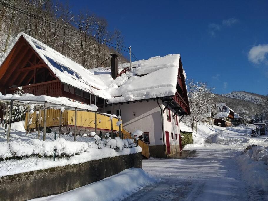 Panoramablick *