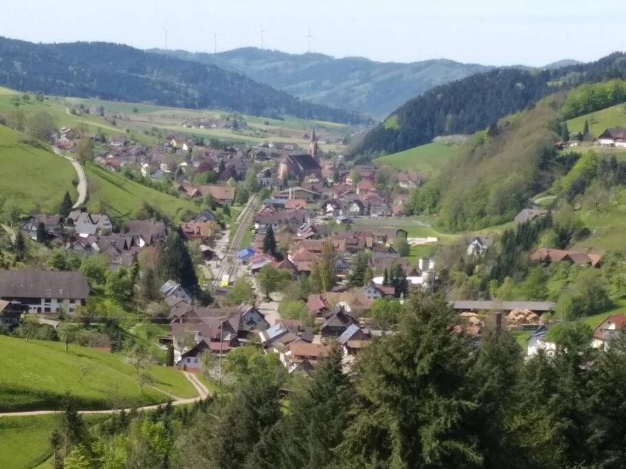 Panoramablick Apartment Oberharmersbach