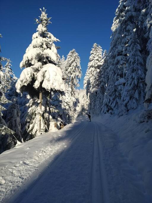 Panoramablick * Oberharmersbach