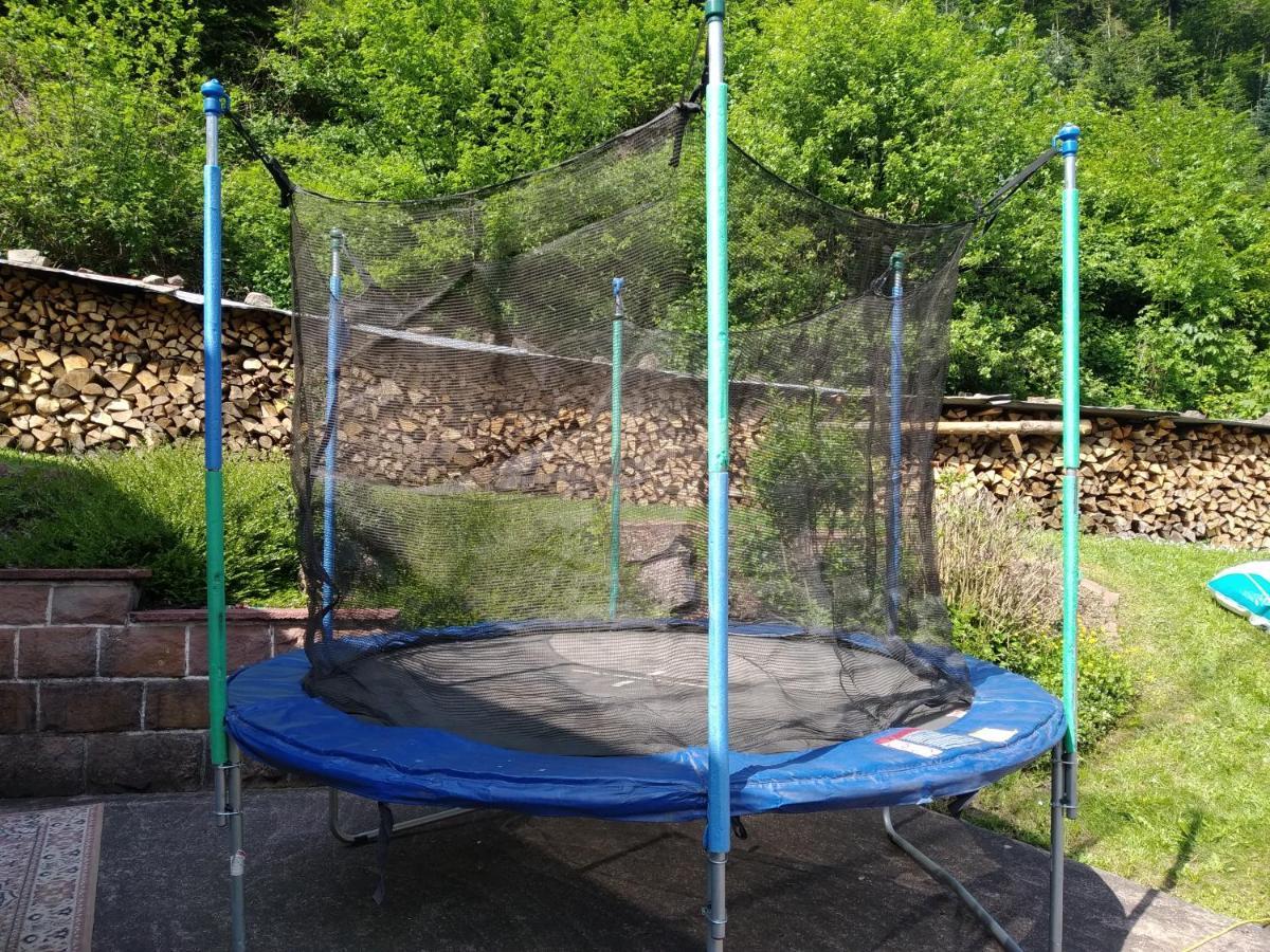 Panoramablick Apartment Oberharmersbach